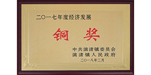 榮獲漓渚鎮(zhèn)2017年度經(jīng)濟(jì)發(fā)展銅獎.JPG