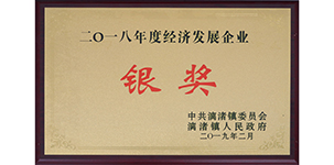 榮獲漓渚鎮(zhèn)2018年度經(jīng)濟(jì)發(fā)展銀獎.JPG