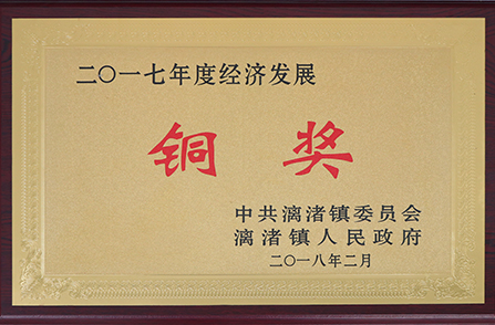 漓渚鎮(zhèn)2017年度經(jīng)濟(jì)發(fā)展銅獎